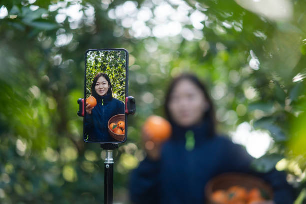 istock The farmer live-streamed ecommerce selling oranges through live streaming on his mobile phone in the orchard. 2191743131
