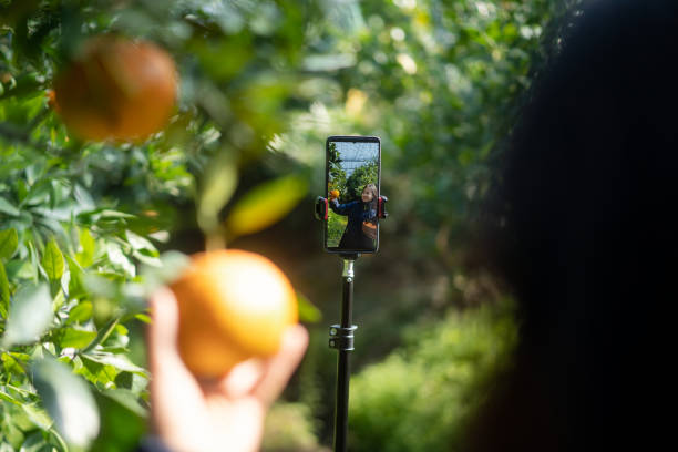 istock The farmer live-streamed ecommerce selling oranges through live streaming on his mobile phone in the orchard. 2191744281
