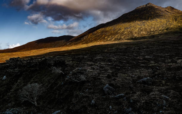 istock A striking landscape showcases a mountain under changing skies, with sunlight illuminating its slopes. A solitary tree stands prominently at the base, adding contrast and focus. 2191747058