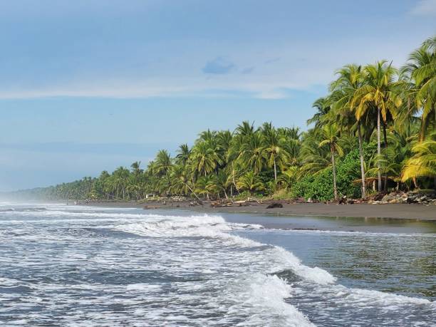 istock Infinite Costa Rica Palm Trees and Sea 2191750712