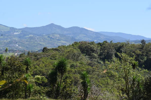 istock Costa Rica Lush Forest and Hills 2191750868
