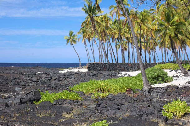 Hawaiian Paradise - Big Island, Hawaii