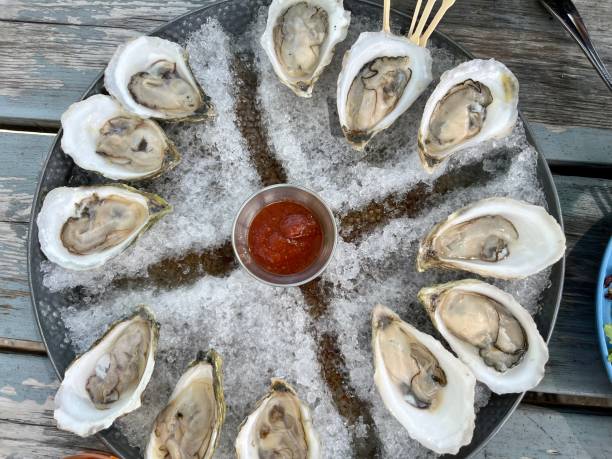 istock Tray of Oysters 2191753031