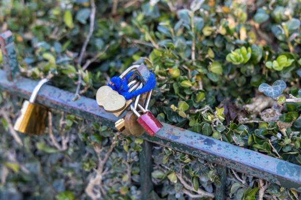 Colorful padlocks attached to a sturdy fence beautifully symbolize deep love and enduring bonds shared between people