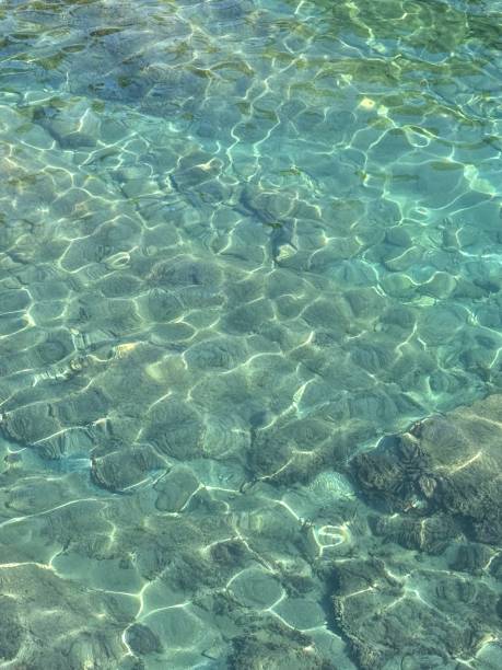 istock Transparent sea water with stones and algae at the bottom 2191758513