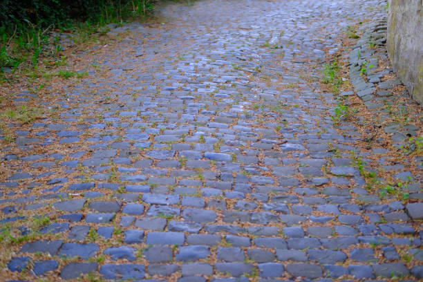 old granite cobblestone road, historic charm and classic stone craftsmanship underfoot, traditional medieval path, heritage stonework, classic antique cobbled road