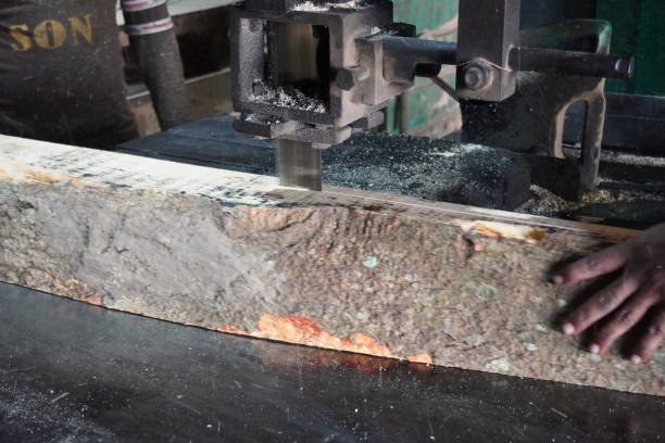 istock Saw machine is cutting the big wood piece into small pieces 2191762068