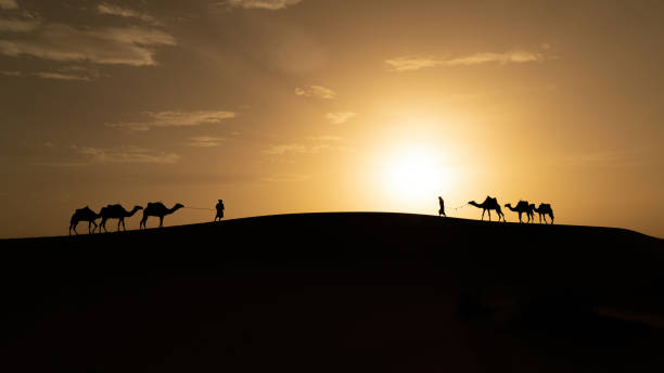 istock Silhouette of unidentified Berber man leading camel in Sahara Desert 2191764005