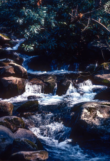 istock Great Smoky Mountains NP - Mountain Stream Vertical - 1980 2191764206