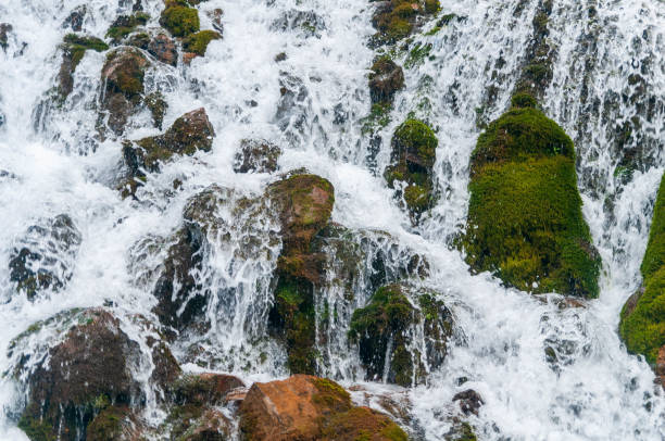Tomara waterfall from Turkiye, Gumushane City Nature, waterfall, landscape, flowers and spring bug  photos from  ordinary Turkish village