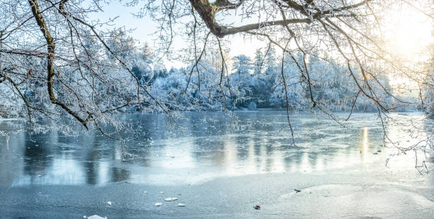 istock Panoramic View of Frozen Lake With Tree. 2191769122