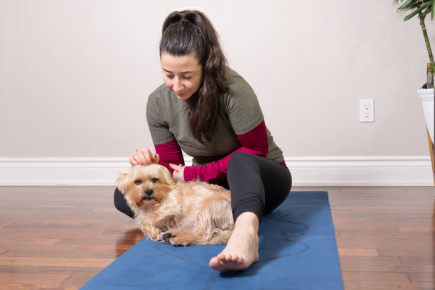 istock Woman practicing yoga with her small dog at home 2191772921