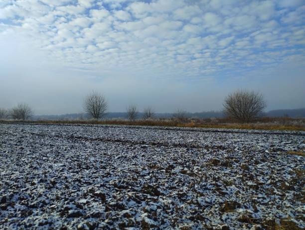 istock Winter landscape in a field with a thin layer of snow and single trees on the horizon under a blue sky with gentle clouds floating across it. 2191777121