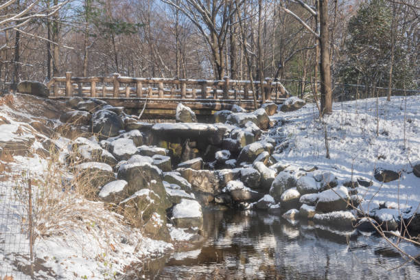 This is a scenic landscape photograph of a pedestrian bridge crossing over the lake in Prospect Park on a winter day in Brooklyn, NY.