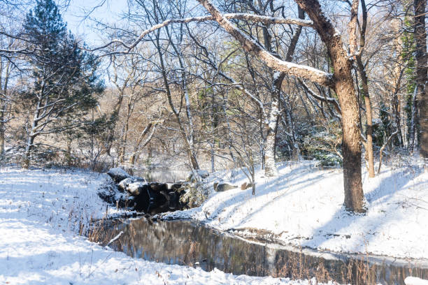 This is a landscape photograph of Prospect Park with a stream winding through the snow covered forest on a winter day in Brooklyn, NY.