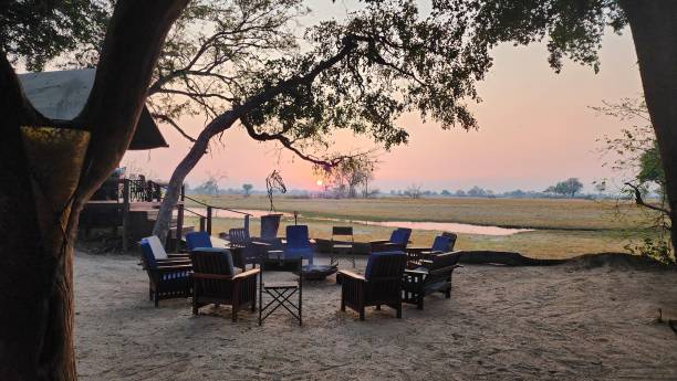 istock Botswana Horse Safari Okavango Delta 2191784911