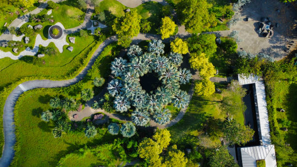 istock Trees arranged around a pond that look like an eye, seen from above 2191788479