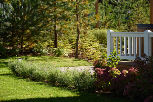 istock A Serene Garden Pathway adorned with Lush Greenery and Beautifully Vibrant Flowers 2191793044