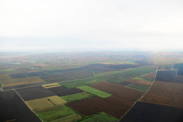 Cultivated Fertile Land and Agricultural Fields View from Above
