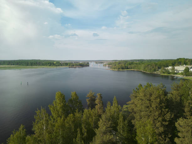 A serene and peaceful lakeside scene showcasing vibrant trees under a bright blue sky, ideal for nature enthusiasts