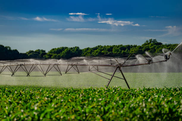 istock Irrigation equipment. Irrigation system for American farm. Sprinklers watering system. Irrigation system for farm land. Lawn sprinkler watering field. Aerial photo of irrigation used to water plants. 2191796428