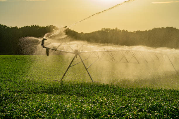 istock Irrigation equipment. Irrigation system for American farm. Sprinklers watering system. Irrigation system for farm land. Lawn sprinkler watering field. Aerial photo of irrigation used to water plants. 2191796444