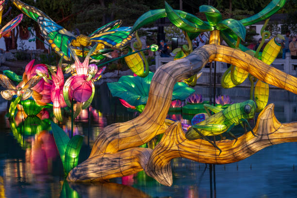Montreal, Canada - September 29, 2024. Tourists in Chinese Garden for Garden of Light Show at Montreal Botanic Garden, Montreal, Quebec, Canada