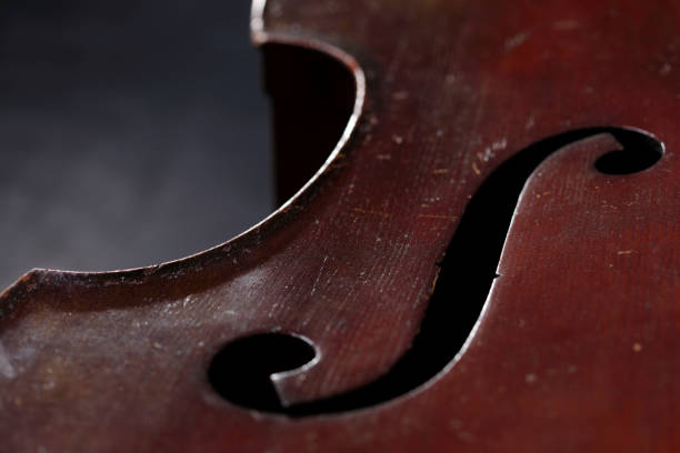 Antique double bass with sound hole and copy space