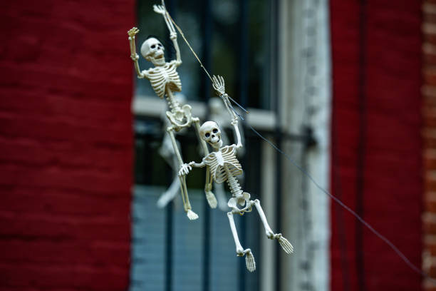 Halloween window decorations. Halloween pumpkin and skeleton for decorated house. Scary Decorated at front yard of a American home. Trick or treat. Halloween background. Autumn holiday of Halloween