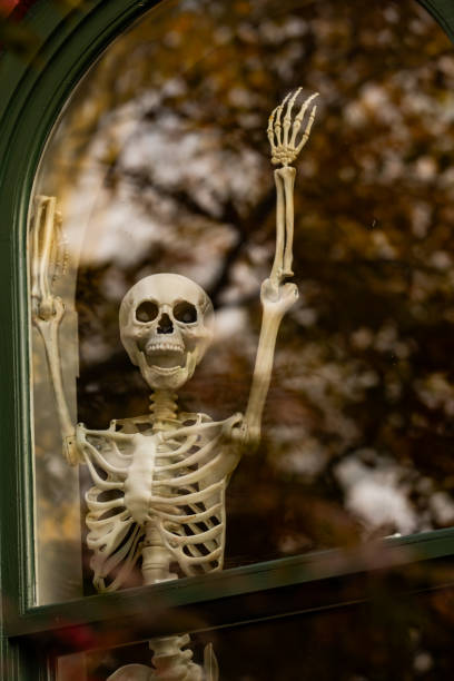 istock Halloween skeleton decorations. Halloween skeleton for decorated house. Scary skeleton Decorated at front yard of a American home. Trick or treat. Halloween skeleton background. 2191802312