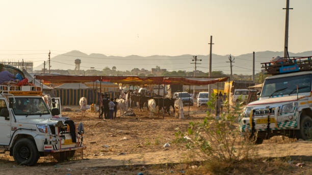 Scenic view of Pushkar camel fair also know as Puahkar mela