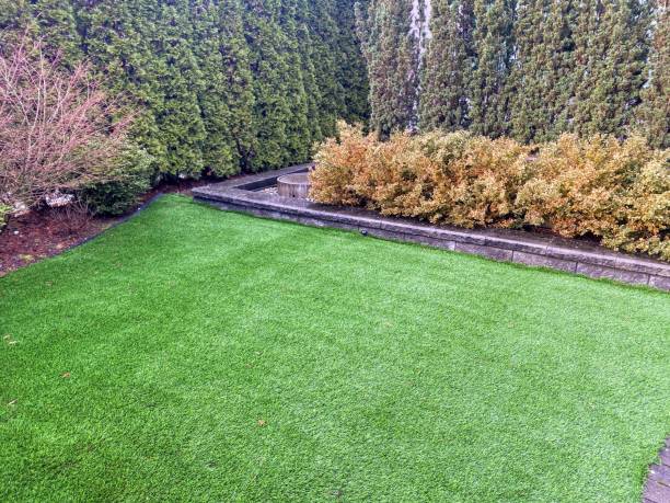 istock A beautiful artificial lawn in the front yard with nice shrubs surrounding it 2191806690
