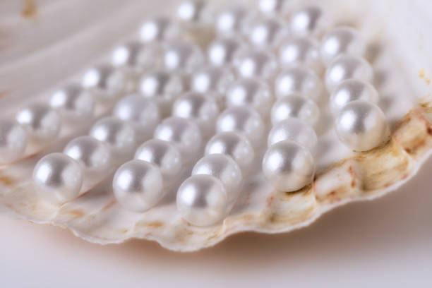 istock Beautiful white pearls on an oyster shell 2191810064
