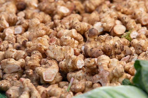 istock pile of sunchokes 2191811622