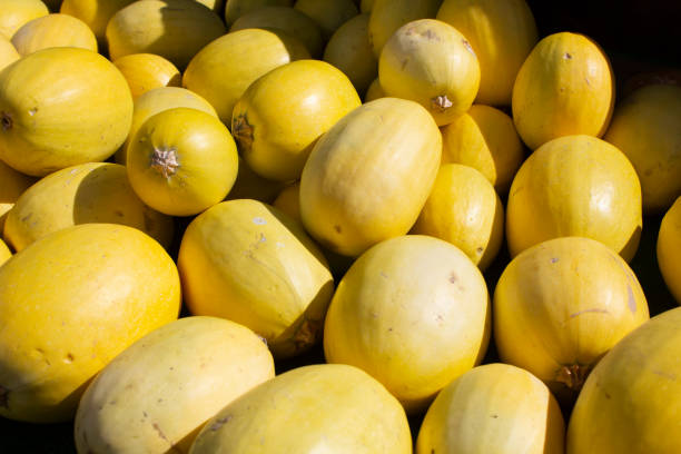 istock pile of spaghetti squash 2191811808