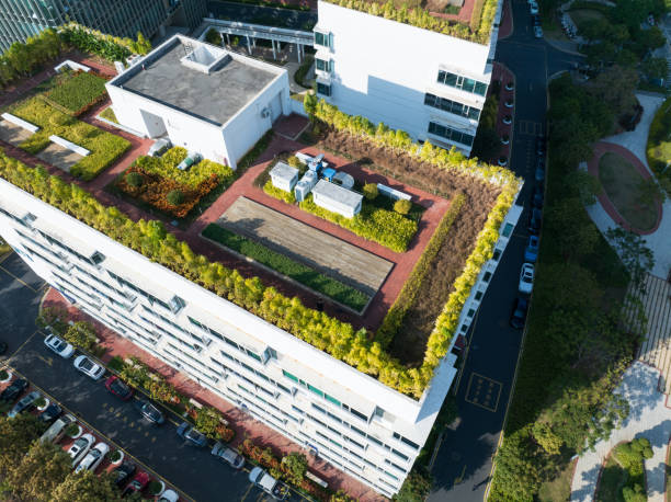 istock roof garden 2191814209