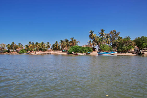 small village on casamance river, ziguinchor region, senegal, west africa - ziguinchor fotografías e imágenes de stock