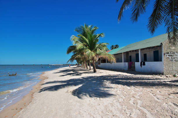 beach of carabane island, casamance river, ziguinchor region, senegal, west africa - ziguinchor fotografías e imágenes de stock