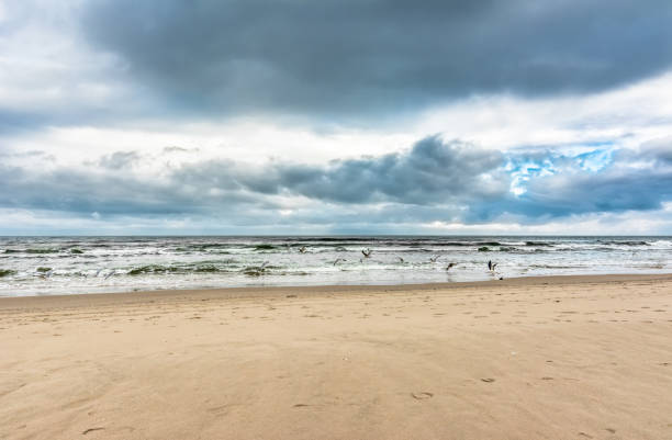 Beach on North sea on sunset, North Holland, Netherlands.
