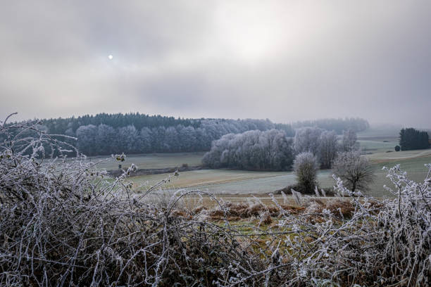 istock Landscape on a frosty Winter da, 2191817323