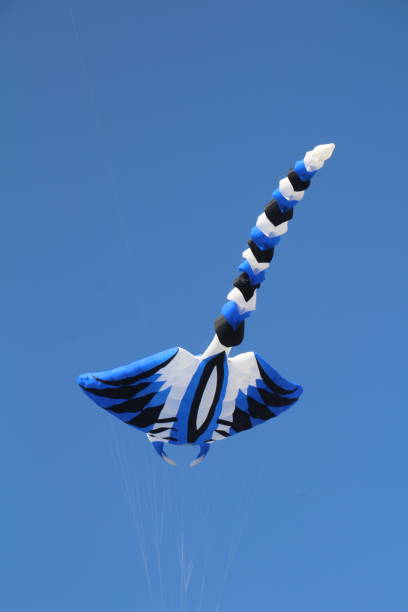 istock Southsea Kite Festival 2191826111