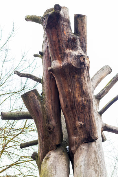 istock Large wooden logs put together as a decorative element. Concept 2191831195