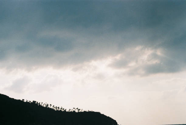 Dark clouds covering the sky above the hill with palm trees, nature background