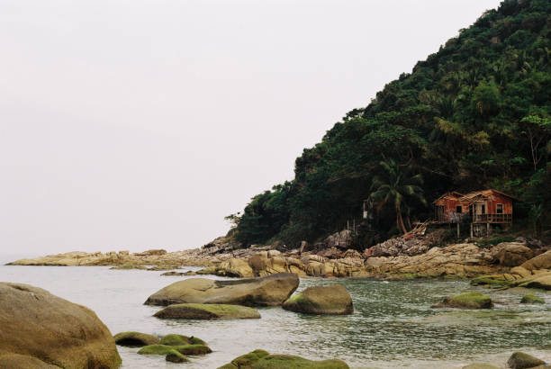 Old, weathered beach hut stands amidst lush tropical vegetation on a rocky shore, overlooking a tranquil ocean