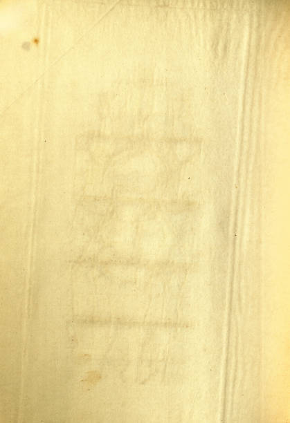 Stained vintage parchment, paper texture, background, stained, creased