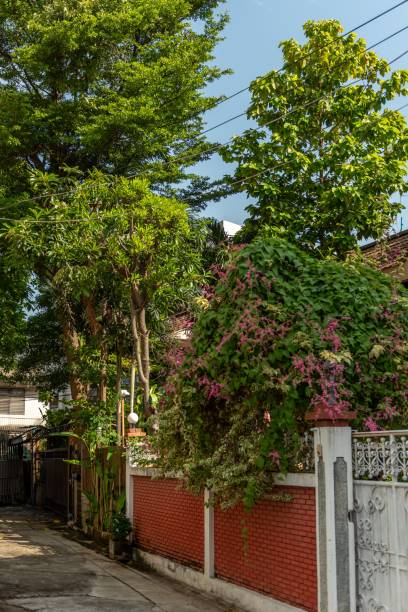 istock Picturesque garden gate with pink flowers 2191843088