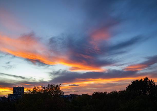 Vibrant sunset sky with orange and blue hues over a cityscape, silhouetted trees in the foreground.