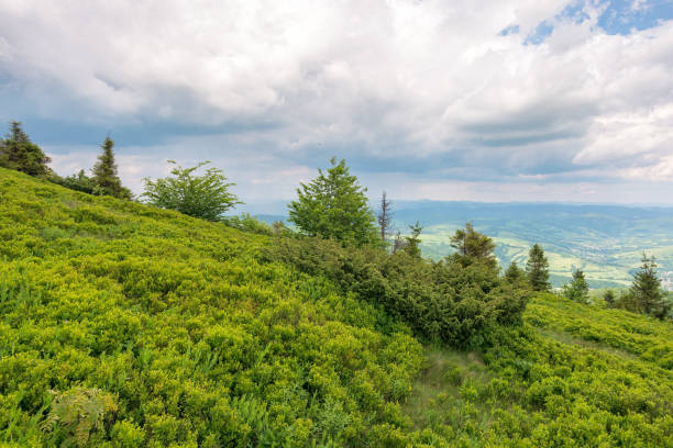 istock carpathian mountain landscape in summer 2191844073