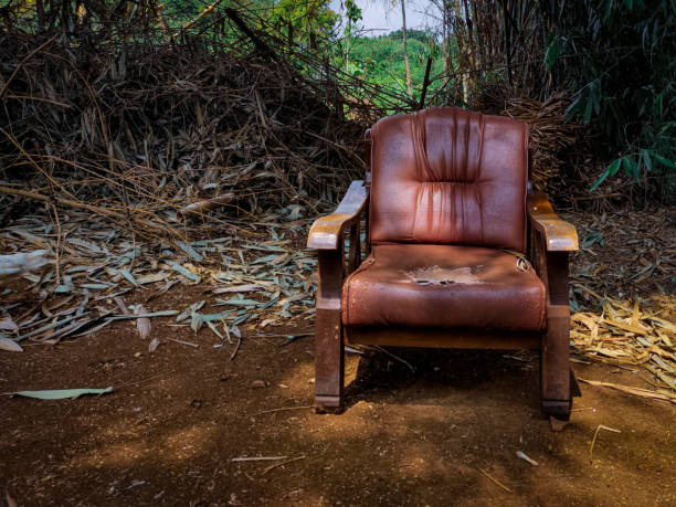 A red leather armchair placed in quiet open space. Armchair already shows signs of wear and tear surrounded by dry leaves and set amidst lush backdrop of bamboo and green trees. Sunlight casts warm glow on the chair, creating sense of calm and serenity.
