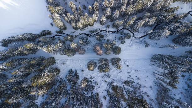 istock Aerial view of snowy forest with winding stream. 2191846358
